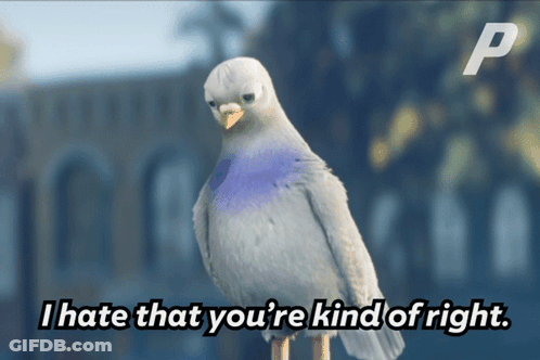 A Pigeon With The Words I Hate That You 'Re Kind Of Right Written Below It GIF