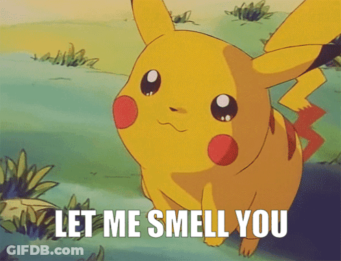 A Pikachu Says " Let Me Smell You " While Standing In The Grass GIF