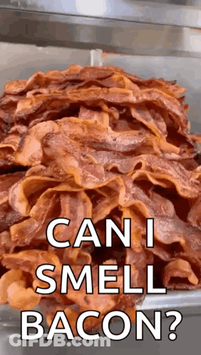 A Pile Of Bacon With The Words Can I Smell Bacon Written On It GIF