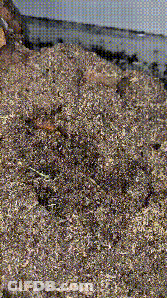 A Pile Of Dirt With A Lot Of Small Stones GIF