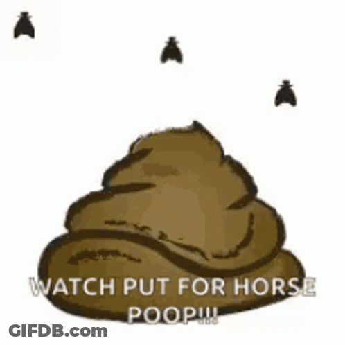 A Pile Of Poop With Two Flies Flying Around It And The Words Watch Put For Horse Poop . GIF