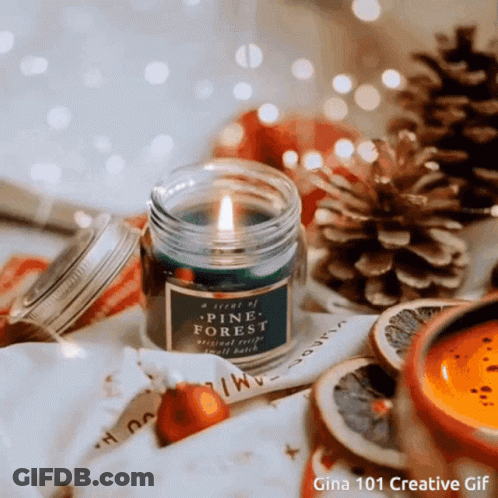 A Pine Forest Scented Candle In A Jar GIF