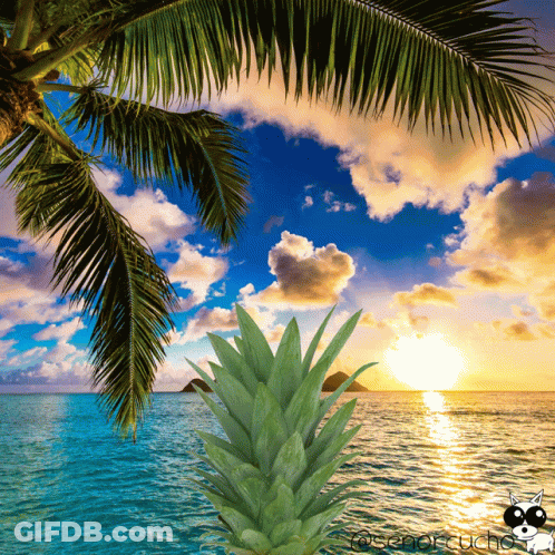A Pineapple Stands In Front Of A Palm Tree Overlooking A Body Of Water GIF