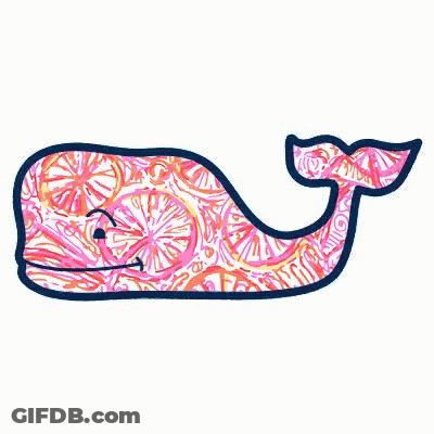 A Pink And Blue Whale With A Paisley Pattern On It GIF
