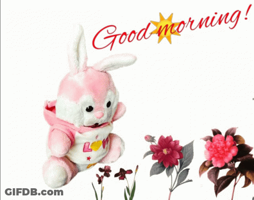 A Pink And White Stuffed Bunny With The Words Good Morning On It GIF