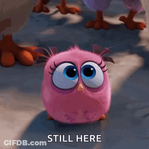 Pink Angry Bird Sitting And Saying Still Here GIF