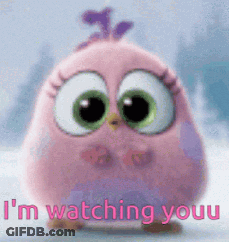 A Pink Angry Bird Is Standing In The Snow And Says `` I 'M Watching Youu '' GIF