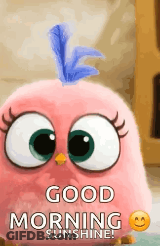 A Pink Angry Bird With A Blue Feather On Its Head Says Good Morning Sunshine GIF