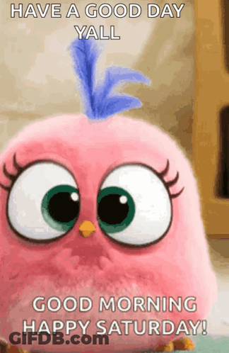 A Pink Angry Bird With A Blue Feather On Its Head Says Have A Good Day Yall Good Morning Happy Saturday ! GIF