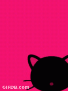 A Pink Background With A Black Cat And A Question Mark Asking What Are You Staring At GIF