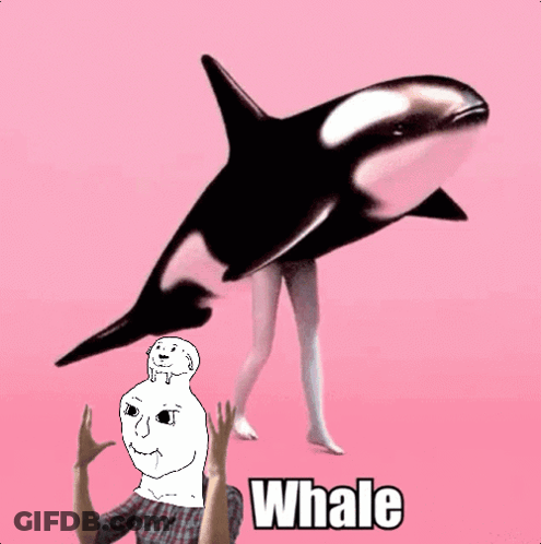 A Pink Background With A Whale And A Cartoon Face GIF