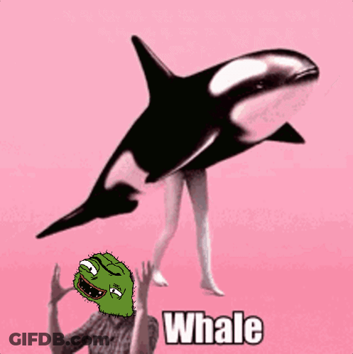 A Pink Background With A Whale And A Cartoon Face GIF