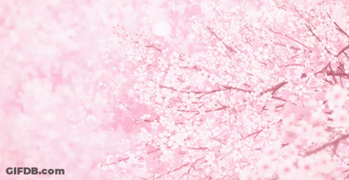A Pink Background With Cherry Blossoms On A Tree GIF