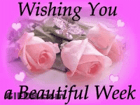 A Pink Background With Pink Roses And The Words Wishing You A Beautiful Week . GIF