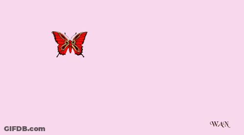 A Pink Background With Red Text That Says Love This And A Red Butterfly GIF