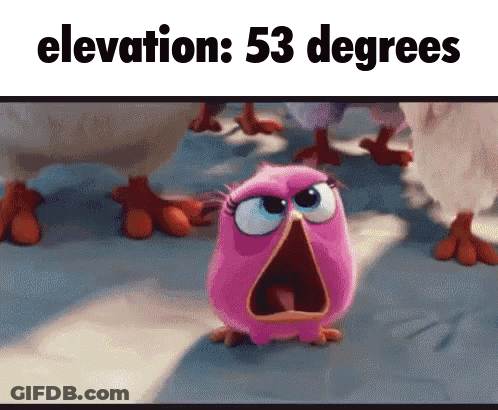A Pink Bird With Its Mouth Open And The Words Elevation 53 Degrees GIF