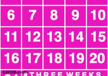 A Pink Calendar With The Numbers 6 Through 20 On It GIF