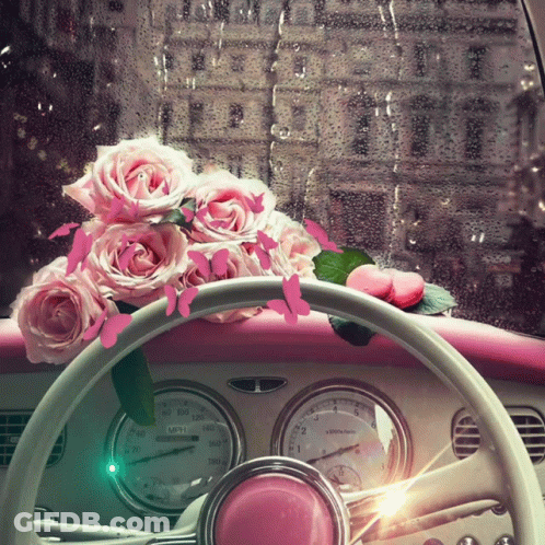 A Pink Car With Roses And Butterflies On The Steering Wheel And A Speedometer That Reads 100 Mph GIF