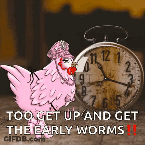 A Pink Chicken Standing Next To A Clock With The Words " Too Get Up And Get The Early Worms " GIF