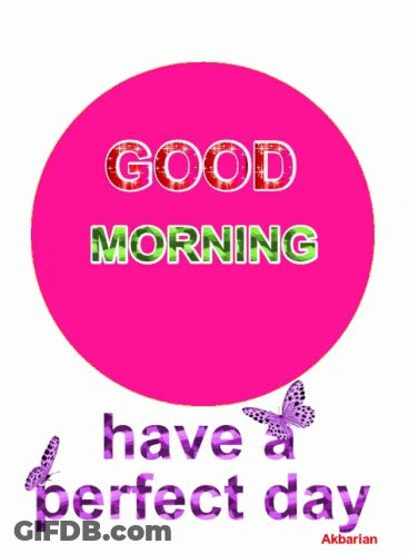 A Pink Circle With The Words Good Morning Have A Perfect Day Written On It GIF