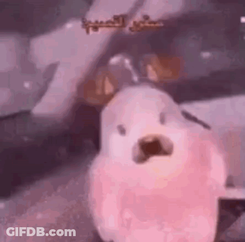A Pink Dog Is Standing In Front Of A Car . GIF