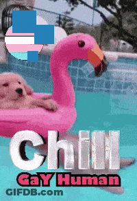 A Pink Flamingo Floats In A Swimming Pool With The Words Chill Gay Human On The Bottom GIF
