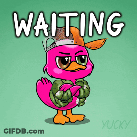 A Pink Flamingo Wearing A Hat And A Jacket Is Waiting GIF