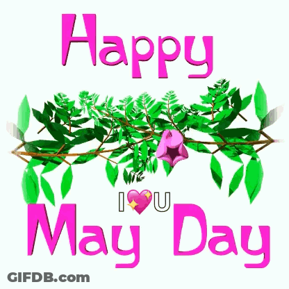 A Pink Flower Is Surrounded By Green Leaves And The Words `` Happy May Day '' GIF