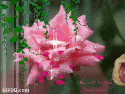 A Pink Flower With The Words Eyeworld Love You On The Bottom Right GIF