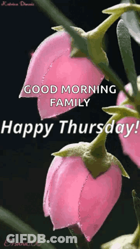 A Pink Flower With The Words Good Morning Family Happy Thursday Written On It GIF