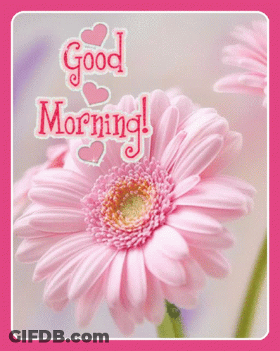 A Pink Flower With The Words " Good Morning " Written On It GIF