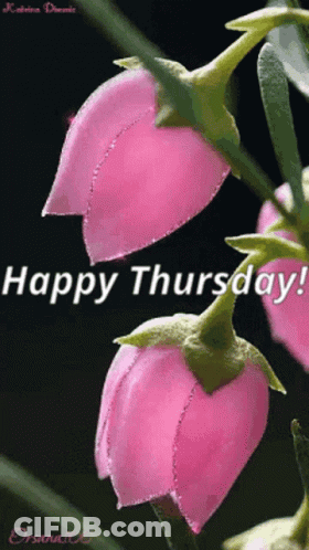 A Pink Flower With The Words Happy Thursday Written On It GIF