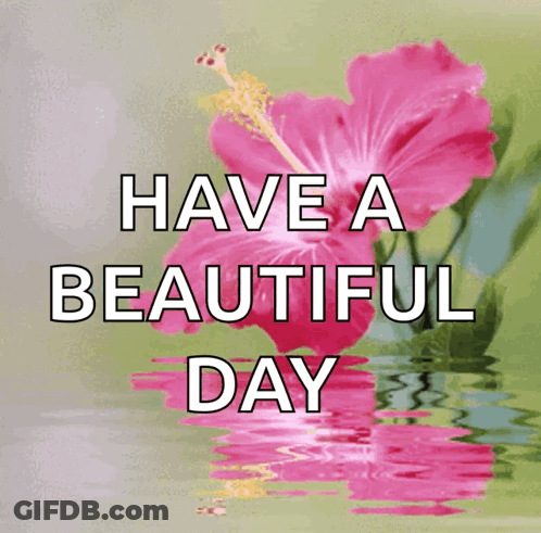 A Pink Flower With The Words " Have A Beautiful Day " Below It GIF