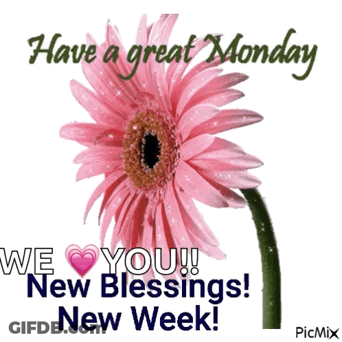 A Pink Flower With The Words Have A Great Monday GIF