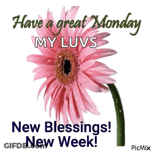 A Pink Flower With The Words Have A Great Monday My Luvs New Blessings New Week On It GIF