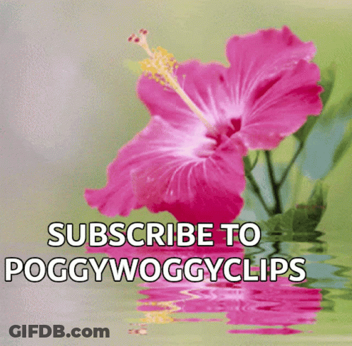 A Pink Flower With The Words " Subscribe To Poggywoggyclips " Below It GIF