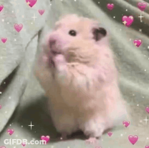 A Pink Hamster Is Standing On Its Hind Legs On A Bed With Pink Hearts Around It . GIF