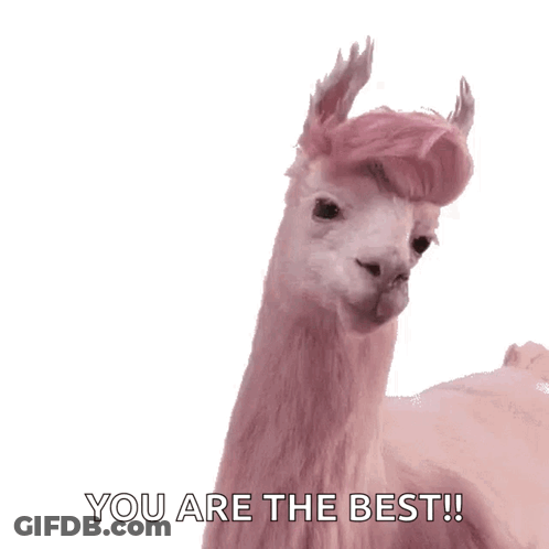 A Pink Llama Says " You Are The Best " On A White Background GIF