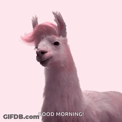 A Pink Llama With A Pink Wig Is Standing On A Pink Background And Says Good Morning . GIF