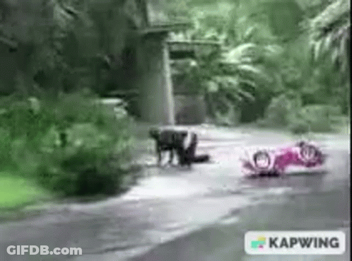 A Pink Motorcycle Is Sitting On The Side Of A Road In The Rain . GIF