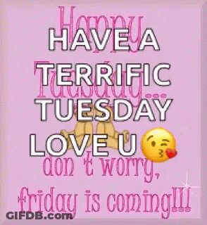 A Pink Poster That Says Have A Terrific Tuesday Love U Don T Worry Friday Is Coming !!! GIF
