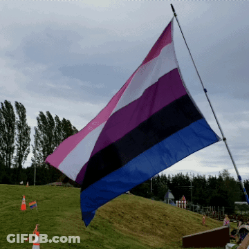 A Pink Purple And Blue Flag Is Flying In A Field GIF