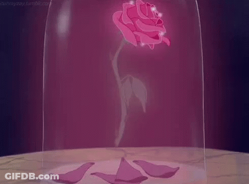 A Pink Rose In A Glass Dome From Beauty And The Beast GIF