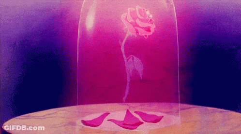 A Pink Rose In A Glass Dome On A Table With Petals . GIF