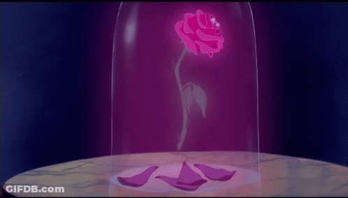 A Pink Rose In A Glass Dome With Petals GIF