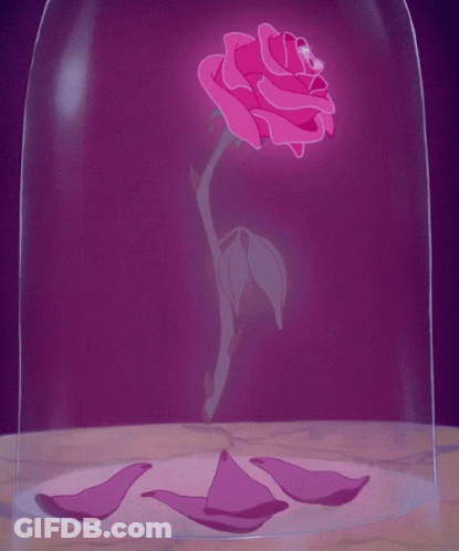 A Pink Rose In A Glass Dome With Petals Around It GIF