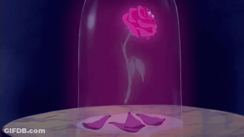 A Pink Rose Is In A Glass Dome With Petals On A Table . GIF