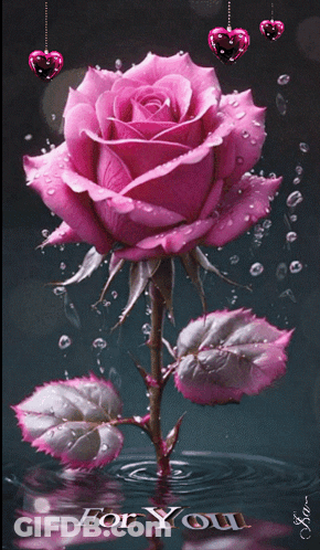 A Pink Rose Is Surrounded By Hearts And The Words " For You " On The Bottom GIF