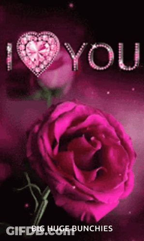 A Pink Rose Is Surrounded By The Words I Love You GIF
