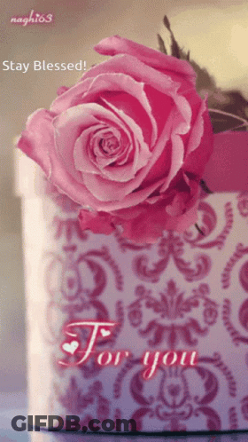 A Pink Rose Sits In A Box With The Words Stay Blessed For You GIF